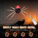 Spider Night Light with Remote Control, Spider Projector Wall Decor USB Powered Cute Spider Projector for Home, Unique Gifts