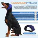 Dog Ear Muffs & Swim Cap and No Shake Ear Wrap for Bathing, Hematoma, Drying & Noise Anxiety Relief - Elastic Waterproof Ear Protection with Calming Hoodie for Grooming (Small, Blue)