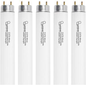 F32T8/865 Fluorescent Light Bulb, 48 Inch, 32 Watts, 6500K Daylight, 2800 Lumens, G13 Bi-Pin Base, 4FT T8 Fluorescent Tube Light Bulbs - 5 Pack