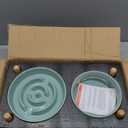 Havniva Ceramic 1.2 Cup Raised Slow Feeder Dog Bowl Set, Elevated 6.1inch Bowl and 7.3inch Puzzle Slow Food Dish with Wooden Stand for Medium and Small Dog, Anti-Gulping (2 x Light Green+ Stand)