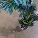 Nearly Natural 4ft. Areca Artificial Palm Tree UV Resistant (Indoor/Outdoor)