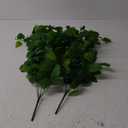 Ooki Creeping Charlie Green Hanging Bush Home Wedding Backdrop Decor Floral Craft Greenery Fake Vine Foliage Leaf Wall