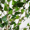 Nearly Natural 7ft. Artificial Birch Tree with Real Touch Leaves