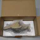 Eager Beaver Pencil Sharpener