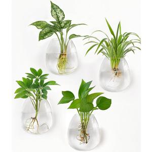 Dahey Propagation Stations Wall Hanging Planters Glass Wall Mounted Vases Oblate Terrarium for Flowers Hydroponics Indoor Plants Home Bathroom Office Decor 4 Pack