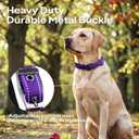 PetiFine Heavy Duty Dog Collar with Durable Metal Buckle,Neoprene Padded Comfort Dog Collar, Reflective Adjustable Belt Buckle Dog Collars for Small Medium Large Dogs(19''-23'', Purple)