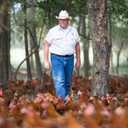 EPIC Bars, Chicken Sriracha, Keto and Paleo Friendly, Whole30 Approved, Gluten Free, 12 Count, 15.6 oz