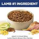 Hill's Science Diet Adult 1-6 Small Bites Dry Dog Food, Lamb Meal & Brown Rice, 33 lb. Bag, Best By 07/2027