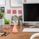 BESPORTBLE 10Pcs Terracotta Pot Plant Saucers, 3.12 Inch Round Terracotta Planter Saucers Small Clay Planter Drip Trays for Indoor Outdoor Plants