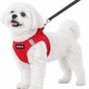 PINA Dog Harness for Small Dogs No Pull, Small Dog Harness and Leash Set, No Choke Breathable Mesh Dog Vest Harness, Lightweight Adjustable Small Medium Dog Harness - Easy to Put On and Take Off, Red (XS (Neck:10-11" , Chest:12-13"))
