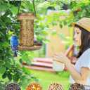 SWEETFULL Solar Bird Feeder for Outdoors Hanging, Metal Wild Bird Feeder for Cardinals Solar Garden Lantern with S Hook as Gift for Bird Lovers (2LBs Heavy Duty Birdfeeders)