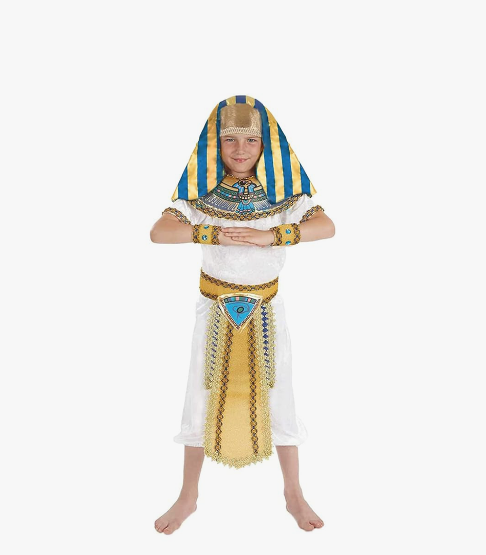 fun shack King Tut Costume Kids, Egyptian Costumes for Boys, Pharaoh Costume Kids, Boys Halloween Costumes XL