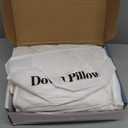 Shilucheng Down Pillows Queen Size Set of 1, 900+ Fill Power Side Sleeper Pillow for Sleeping, Hotel Quality Pillows for SideWhite,20" x 30"