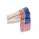 AMERICANA PARTY PICKS, 225PCS