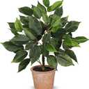 Fake Plant 13" Small Artificial Ficus Plant Faux Ficus Plants Banyan Tree with Rustic Terracotta Pot Silk Plants for Home Decor Indoor Office Living Room Bedroom Shelf Table Centerpieces