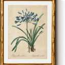 InSimSea Gold Bamboo Framed Canvas Wall Art, Retro Lily Botanical Prints, Antique Moody Picture Frame with Mat, Victorian Home Wall Decor for Kitchen Dining Living Room Bedroom, 11x14inch