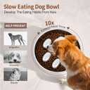 Slow Feeder Dog Bowl for Fast Eating Dogs Stainless Steel 8.2" with Non-Slip Base, Raised Obstacle Slow Down Eating for Small Medium Large Dogs, Reduces Bloat & Indigestion, Dishwasher Safe