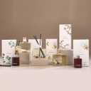 Folkulture Reed Diffusers for Decorations | Scent for Home with 5 Diffuser Sticks | Bathroom Decor Set and Dresser Decor for Homes | Aroma Diffuser Gifts for her | Linen Breeze (5.07 fl oz)