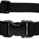 LupinePet Basics 1" Black 12-20" Adjustable Collar for Medium and Larger Dogs