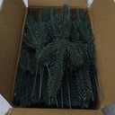 Hananona 50 Pcs Artificial Pine Branches Green Plants Pine Needles DIY Accessories for Garland Wreath Christmas and Home Garden Decor (50, Green)