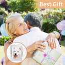 DECANIT 5x7 Picture Frames Silver Metal Photo Frames For Tabletop Display and Wall Decoration-Best Gifts For Family