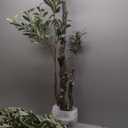 OXLLXO 7.2ft Artificial Olive Tree (85in) with Plastic Nursery Pot Faux Olive Silk Tree, Fruits Fake Plant for Office House Farmhouse Living Room Home Decor (Indoor/Outdoor)