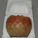 Cracked Dragon Egg Candy Bowl Halloween Decorations Candy Dish for Office Desk Entryway Key Holder Home Decor Indoor Red