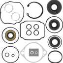 70525 Pump Seal Kit/Pump Overhaul Kit Seals Fit for BDP-10A Pump,Overhaul Seal Kit with Seals & Gaskets Fit for PG-1AAA-DY1X-XXXX,PG-1AAA-D11X-XXXX,PG-1ACC-DY1X-XXXX and more