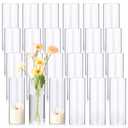Mimorou 48 Pcs 8 Inch Tall Glass Vases Bulk Clear Cylinder Flower Vases