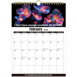 4 x Fuck It 2026 Calendar for Tired Women, Funny Swear Wall Calendars, Humor Hanging Planner Monthly for Home Office, Christmas Funny Swear Word Gag Gift (Black)
