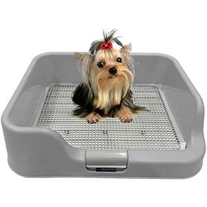 [DogCharge] Indoor Dog Potty Tray with Protection Wall Every Side for No Leak, Spill, Accident - Keep Paws Dry and Floors Clean (Tray Only, Grey)