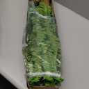 Single Silky Artificial Boston Fern Bush, 49Inch Large Artificial Ferns for Outdoors, Large Faux Ferns Artificial Plants,Suitable for Decorating Office, Living Room Faux Greenery,95Branches