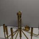 6- Light Candelabra Chandelier, Brushed Brass Finish, Contemporary Mid Century Modern Style Lighting Fixture