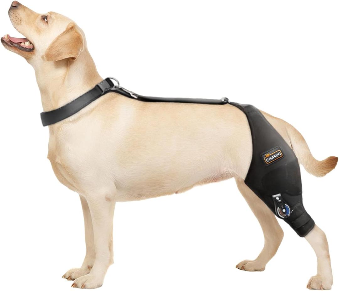 CHAMIN Adjustable Dog Knee Brace for Torn ACL Hind Leg, Support for Tear Ligament, Osteoarthritis, Rear Leg Limp, Recovery After Surgery,et(Left Leg,L)