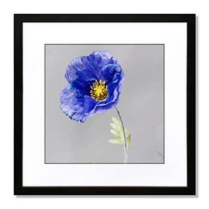 VNVNK 23x23 Frame Black, Perfect for 23x23 Inch Picture without Mat or 19x19 Inch Picture with Mat, Home Wall Decor Picture Frame-1 PCS