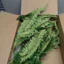 Dkaltm Artificial Boston Fern Bush- Set of 2 Large Artificial Ferns for Outdoors, 45Inch Large Faux Ferns, Suitable for Office & Living Room Decor, 55Branches for Each Bouquet