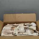 JOYIN 2PCS 36" Halloween Skeleton Decor, 3FT Full Body Stayable Movable Joints, Posable Hanging Skeletons for Halloween Decoration, Yard, Graveyard, Haunted House Props, Spooky Scene Party Favor (Yellow)