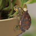 Tortoise Figure Plant Pot Hanger, Resin Climbing Flower Pot Hanger Figurines Cute Animal Hanging Turtle Statue Plant Pot Hugger Planter Pot Gift for Yard Garden Ornaments Vase Terrarium Decorations