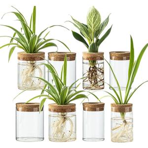 Glass Propagation Stations for Plants -Desktop Flower Vases,Propagation Flower Vases Set  2 Large & 2 Small for Plant Cuttingsfor Living Room, Bedroom Decoration,Home,Office Decor (8)