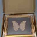 Gold Framed Wall Art Vintage Butterfly Canvas Wall Art White Butterfly Moody Insect Artwork Prints Picture for Living Room Bedroom Farmhouse Bathroom Office Decor, 8x10