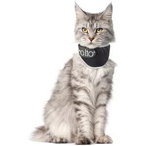 Balto Neck Eco E-Collar Alternative – Feline Recovery Collar – Padded Cat Cone - Pre/Post Surgery Helps Protect Wounds and Rashes- Body Only Protection, Extra Extra Small