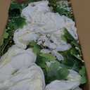 DearHouse 2Pack Artificial Peony Flower Garland - Silk Peony Garland with White Flowers for Wedding Party Table Decoration,6ft/Strand