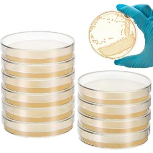 Baluue 10Pcs Nutrient Agar Petri Dishes Science Project Kit, 70mm Pre-Poured Agar Plates, Laboratory Experiment Prepoured Supplies for Students (7CX7cm)