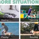 Dog Leg Brace for Rear Hock Joint, Compression Wrap Strong Support Back Leg for Canine Torn Acl & Ccl, Hind Ankle Injury and Sprain Heals, Keeps Warm and Stability for Arthritis (M) (Black)