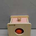 Adena Montessori Infant Toddlers Coin Box Montessori Toys for 6-12 Months Babies 1 Year 2 Year Old (2 in 1, Coin & Ball, Pink Door)