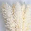 46" inch 10 Stems Natural Pampas Grass Decor Tall, Pompas Grass, Tall Pampas Grass for Weddingm, Farmhouse, Boho Home Decor (Ivory)