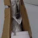 Electric Scooter for Kids Age 6-10, Kick-Start Boost Scooter with Adjustable Speed and Height, Flash Wheel & Deck Lights, E8