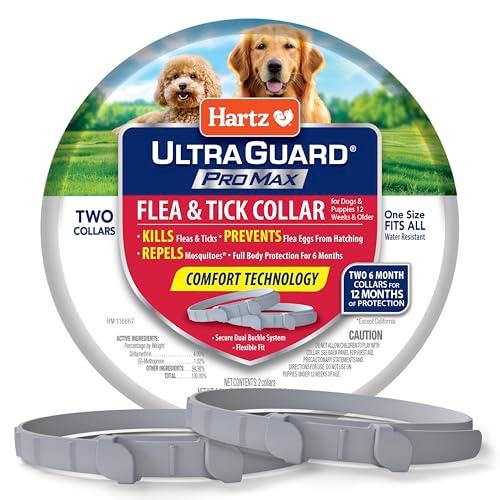 Hartz UltraGuard ProMax Flea & Tick Collar for Dogs I 12 Months Protection I Soft & Comfortable Flea & Tick Prevention I 2 Pack,Gray