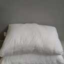 Casper Sleep Essential Cooling Pillow, Standard, White