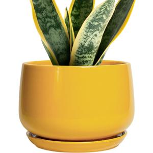 G EPGardening Ceramic Pots for Plants - 7 Inch Plant Pot with Drainage Hole and Saucer, Modern Ceramic Planter for Indoor Outdoor, Round Flower Planter, Gifts for Plants Lovers, Home Decor, Yellow